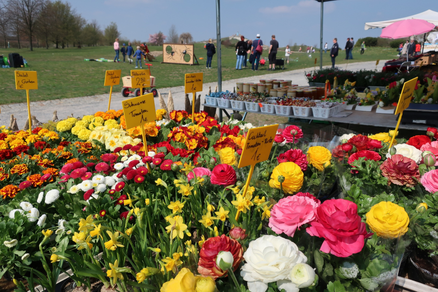 Pflanzenverkauf_k_ASchwitalla